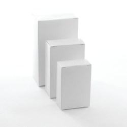 Folding Carton